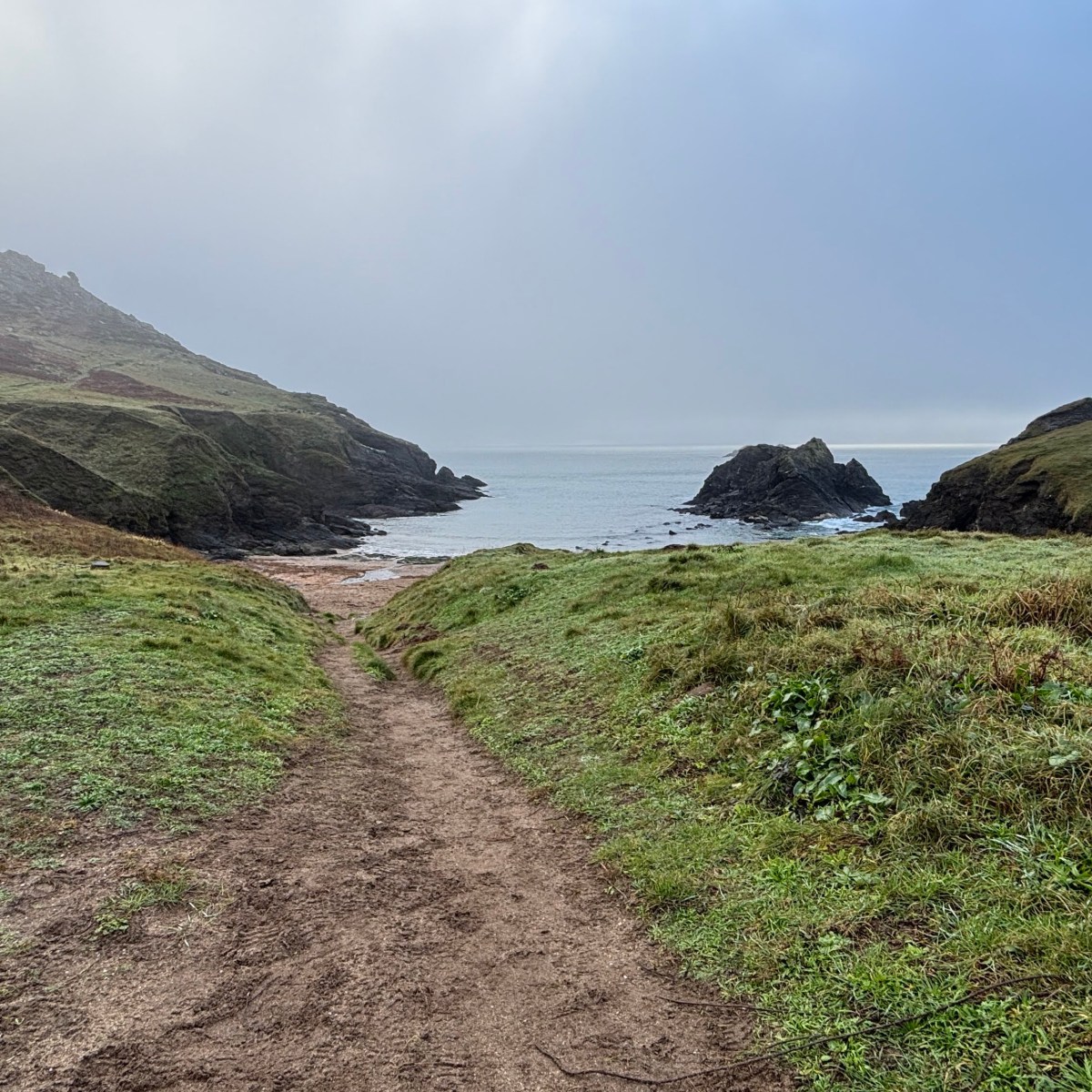 Monthly Update: December&nbsp;2024